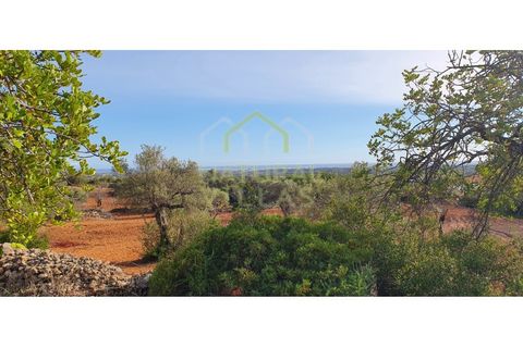 Helårsgrund i Estoi, Faro, Estoi - € 200.000 | Ref: FVT-002_VEND - foto 4