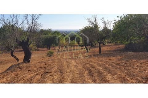 Helårsgrund i Estoi, Faro, Estoi - € 200.000 | Ref: FVT-002_VEND - foto 7