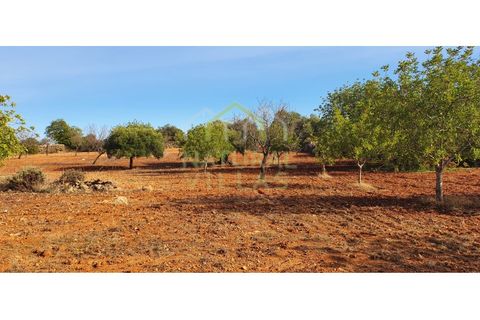 Helårsgrund i Estoi, Faro, Estoi - € 200.000 | Ref: FVT-002_VEND - foto 2