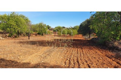 Helårsgrund i Estoi, Faro, Estoi - € 200.000 | Ref: FVT-002_VEND - foto 6