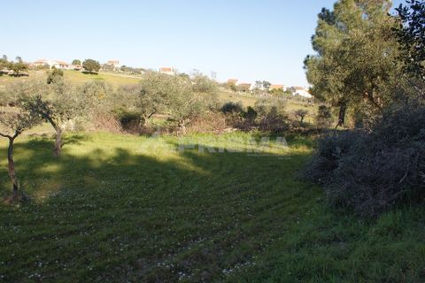 Helårsgrund i Castelo Branco, Castelo Branco, Castelo Branco - € 8.000 | Ref: PP3857 - foto 5