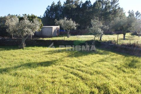 Helårsgrund i Castelo Branco, Castelo Branco, Castelo Branco - € 8.000 | Ref: PP3857 - foto 7