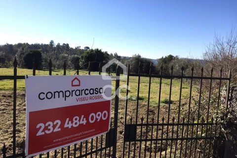 Helårsgrund i Viseu, Viseu, Viseu - € 45.000 | Ref: 353/T/02204 - foto 2