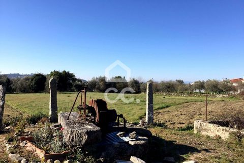 Helårsgrund i Viseu, Viseu, Viseu - € 45.000 | Ref: 353/T/02204 - foto 3