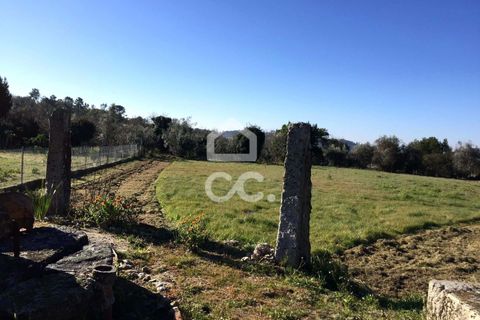 Helårsgrund i Viseu, Viseu, Viseu - € 45.000 | Ref: 353/T/02204 - foto 10