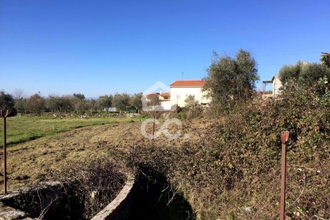 Helårsgrund i Viseu, Viseu, Viseu - € 45.000 | Ref: 353/T/02204 - foto 11