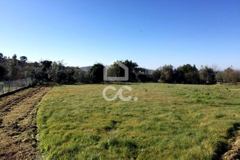 Helårsgrund i Viseu, Viseu, Viseu - € 45.000 | Ref: 353/T/02204 - foto 4