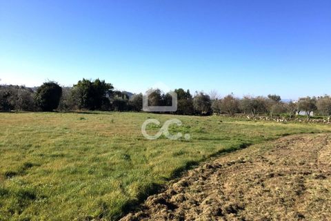 Helårsgrund i Viseu, Viseu, Viseu - € 45.000 | Ref: 353/T/02204 - foto 5