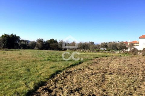 Helårsgrund i Viseu, Viseu, Viseu - € 45.000 | Ref: 353/T/02204 - foto 12