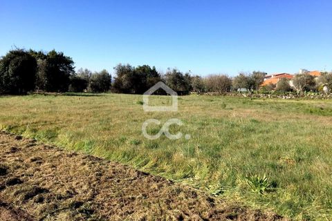Helårsgrund i Viseu, Viseu, Viseu - € 45.000 | Ref: 353/T/02204 - foto 14