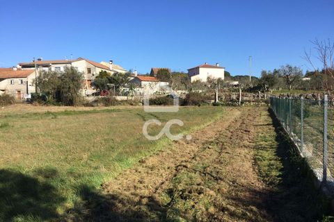Helårsgrund i Viseu, Viseu, Viseu - € 45.000 | Ref: 353/T/02204 - foto 17
