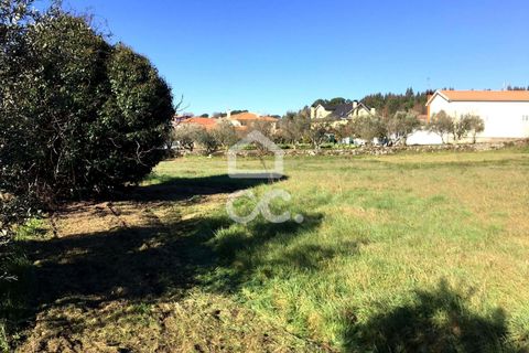 Helårsgrund i Viseu, Viseu, Viseu - € 45.000 | Ref: 353/T/02204 - foto 13
