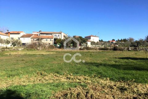Helårsgrund i Viseu, Viseu, Viseu - € 45.000 | Ref: 353/T/02204 - foto 18