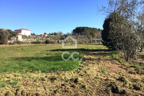 Helårsgrund i Viseu, Viseu, Viseu - € 45.000 | Ref: 353/T/02204 - foto 19