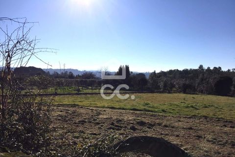 Helårsgrund i Viseu, Viseu, Viseu - € 45.000 | Ref: 353/T/02204 - foto 20