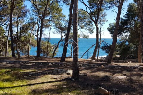 Villa i Platja D'aro, Gerona, Platja D'aro - € 10.500.000 | Ref: CBR20786 - foto 14