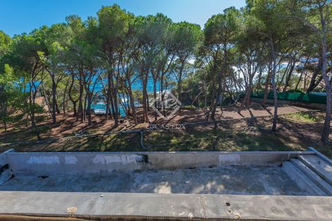 Villa i Platja D'aro, Gerona, Platja D'aro - € 10.500.000 | Ref: CBR20786 - foto 24