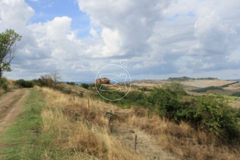 Landejendom i Asciano, Siena, Asciano - € 13.000.000 | Ref: DIC.5329 - foto 2