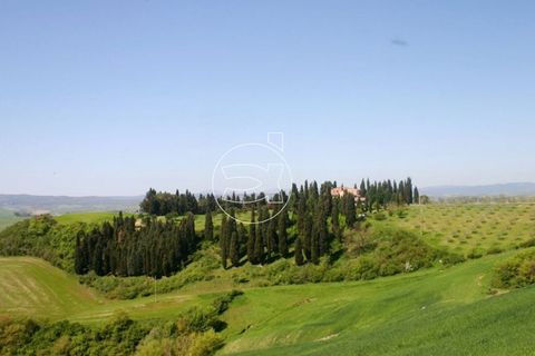 Landejendom i Asciano, Siena, Asciano - € 13.000.000 | Ref: DIC.5329 - foto 3