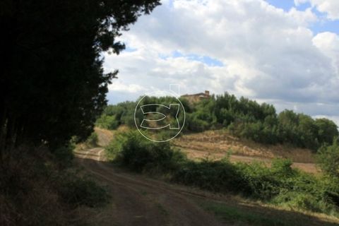 Landejendom i Asciano, Siena, Asciano - € 13.000.000 | Ref: DIC.5329 - foto 6