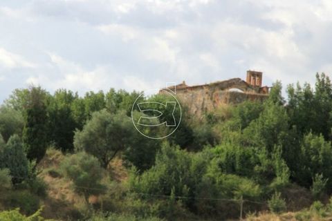 Landejendom i Asciano, Siena, Asciano - € 13.000.000 | Ref: DIC.5329 - foto 7