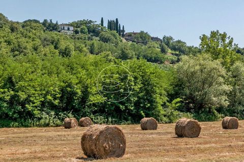 Landejendom i Bucine, Arezzo, Bucine - € 1.290.000 | Ref: DIC.5418 - foto 7