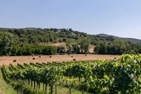 Landejendom i Bucine, Arezzo, Bucine - € 1.290.000 | Ref: DIC.5418 - foto 10