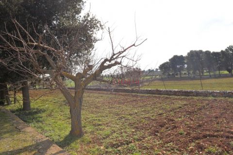 Villa i Cisternino, Brindisi, Cisternino - € 590.000 | Ref: 164 - foto 6