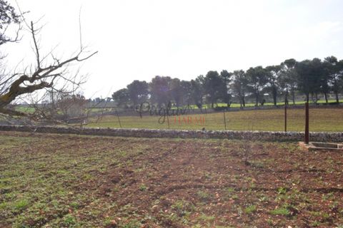 Villa i Cisternino, Brindisi, Cisternino - € 590.000 | Ref: 164 - foto 9