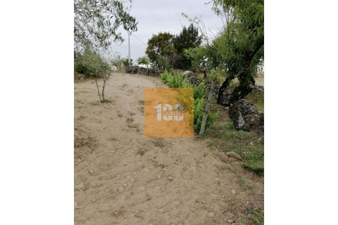 Helårsgrund i Torre de Moncorvo, Braganca, Torre de Moncorvo - € 30.000 | Ref: DO2704 - foto 5