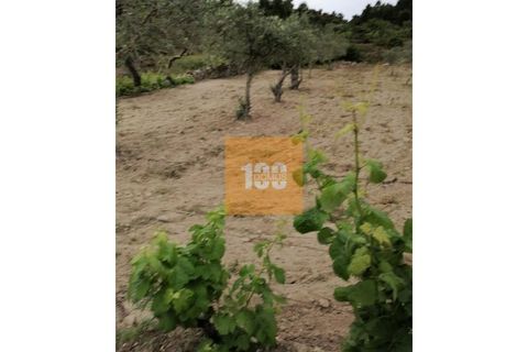 Helårsgrund i Torre de Moncorvo, Braganca, Torre de Moncorvo - € 30.000 | Ref: DO2704 - foto 6