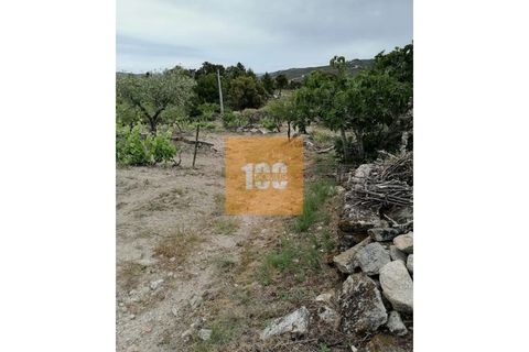Helårsgrund i Torre de Moncorvo, Braganca, Torre de Moncorvo - € 30.000 | Ref: DO2704 - foto 7