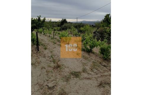 Helårsgrund i Torre de Moncorvo, Braganca, Torre de Moncorvo - € 30.000 | Ref: DO2704 - foto 9