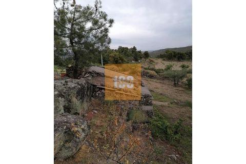 Helårsgrund i Torre de Moncorvo, Braganca, Torre de Moncorvo - € 30.000 | Ref: DO2704 - foto 11