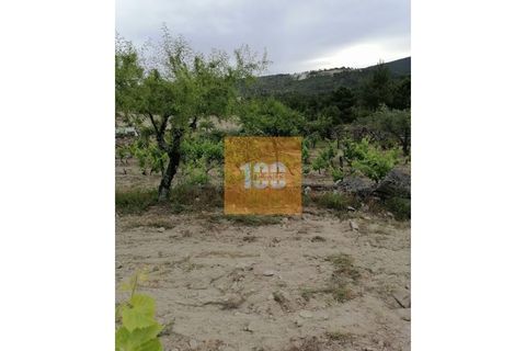 Helårsgrund i Torre de Moncorvo, Braganca, Torre de Moncorvo - € 30.000 | Ref: DO2704 - foto 17