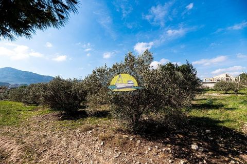 Landejendom i Mazarron, Murcia, Mazarron - € 495.000 | Ref: 2455/7779 - foto 30