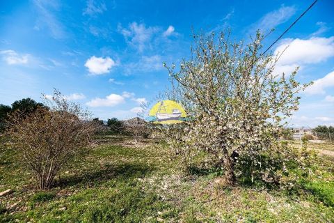 Landejendom i Mazarron, Murcia, Mazarron - € 495.000 | Ref: 2455/7779 - foto 33