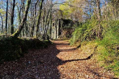 Ruinere i Ponte de Lima, Viana do Castelo, Ponte de Lima - € 60.000 | Ref: RUÏ_1762 - foto 3