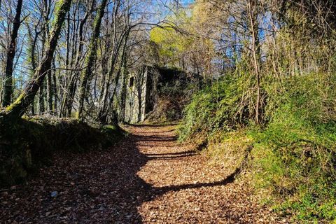 Ruinere i Ponte de Lima, Viana do Castelo, Ponte de Lima - € 60.000 | Ref: RUÏ_1762 - foto 4