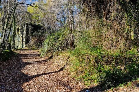 Ruinere i Ponte de Lima, Viana do Castelo, Ponte de Lima - € 60.000 | Ref: RUÏ_1762 - foto 5