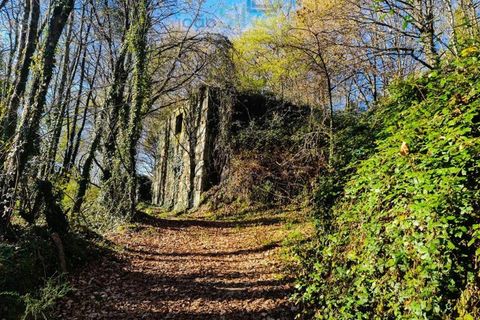Ruinere i Ponte de Lima, Viana do Castelo, Ponte de Lima - € 60.000 | Ref: RUÏ_1762 - foto 2