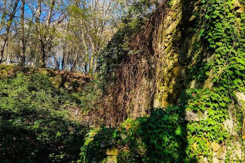 Ruinere i Ponte de Lima, Viana do Castelo, Ponte de Lima - € 60.000 | Ref: RUÏ_1762 - foto 6