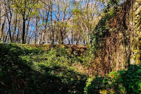 Ruinere i Ponte de Lima, Viana do Castelo, Ponte de Lima - € 60.000 | Ref: RUÏ_1762 - foto 7