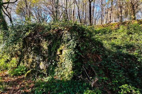 Ruinere i Ponte de Lima, Viana do Castelo, Ponte de Lima - € 60.000 | Ref: RUÏ_1762 - foto 8