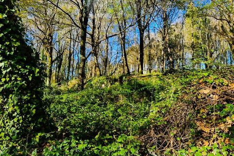Ruinere i Ponte de Lima, Viana do Castelo, Ponte de Lima - € 60.000 | Ref: RUÏ_1762 - foto 9