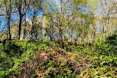 Ruinere i Ponte de Lima, Viana do Castelo, Ponte de Lima - € 60.000 | Ref: RUÏ_1762 - foto 10