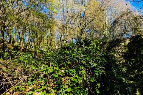 Ruinere i Ponte de Lima, Viana do Castelo, Ponte de Lima - € 60.000 | Ref: RUÏ_1762 - foto 11