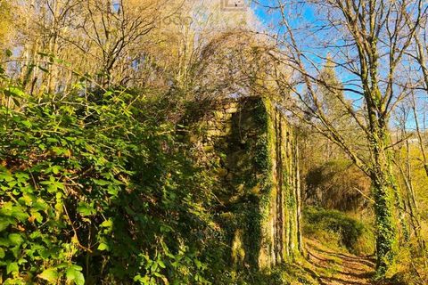 Ruinere i Ponte de Lima, Viana do Castelo, Ponte de Lima - € 60.000 | Ref: RUÏ_1762 - foto 12