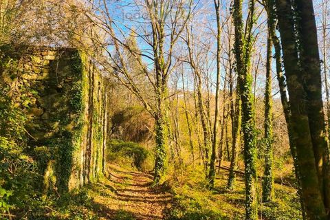 Ruinere i Ponte de Lima, Viana do Castelo, Ponte de Lima - € 60.000 | Ref: RUÏ_1762 - foto 13