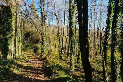 Ruinere i Ponte de Lima, Viana do Castelo, Ponte de Lima - € 60.000 | Ref: RUÏ_1762 - foto 14